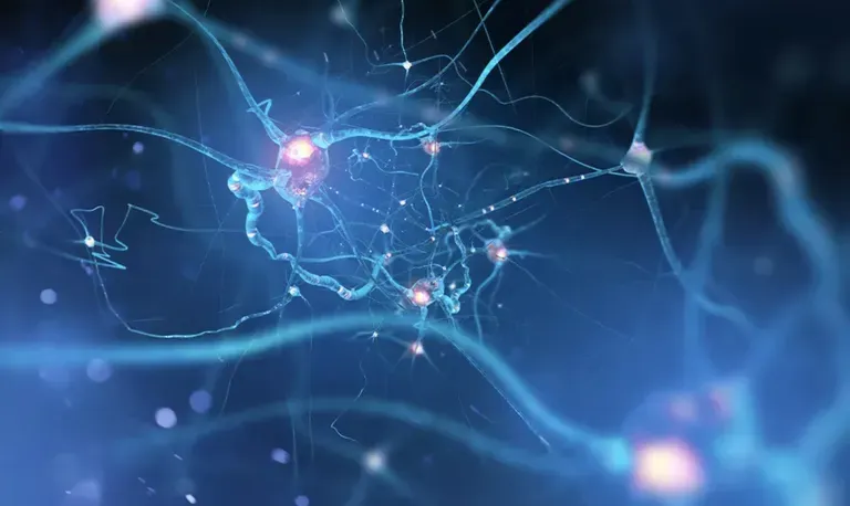 Aizik L Wolf, MD | Neurological Surgery located in South Miami, FL